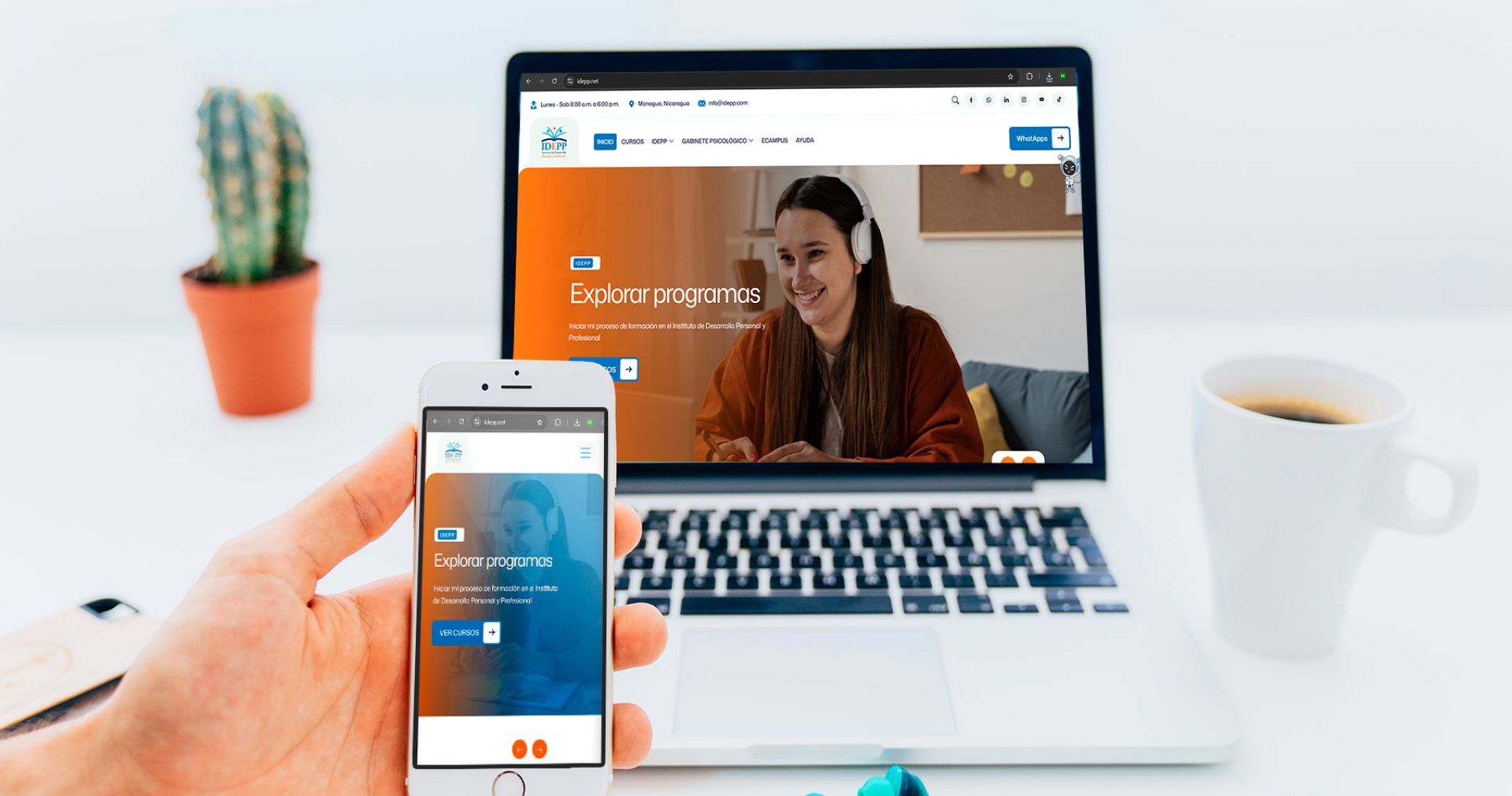 idepp-web